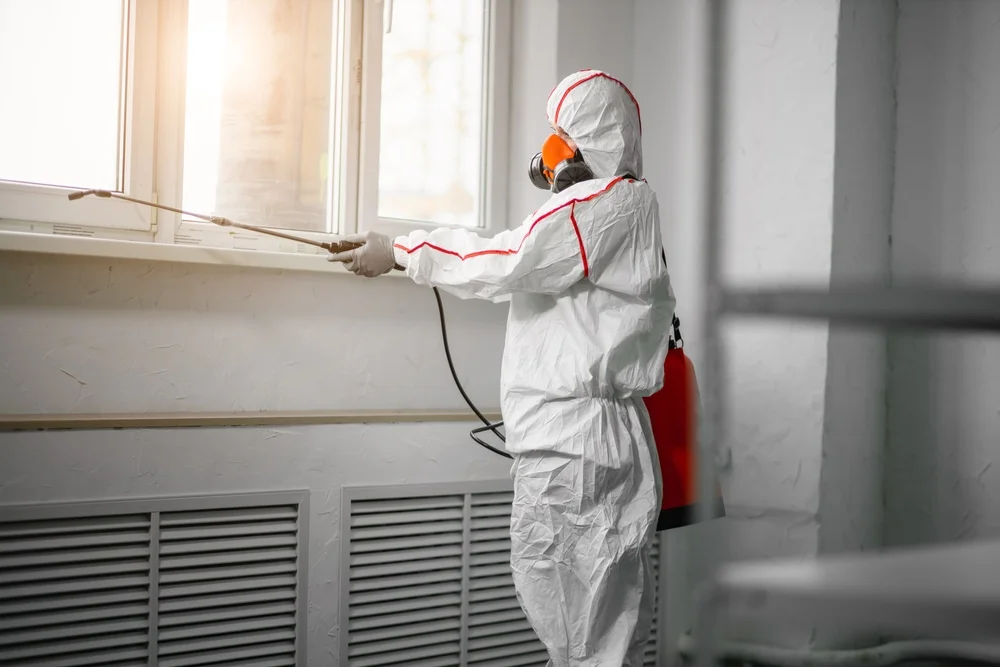 Professional mold remediation services in Spring Lake, MI